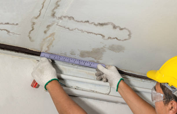 Reliable Water Damage contractor in Franklin, NJ by Water Damage Irwin